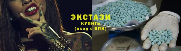 гидра Богданович