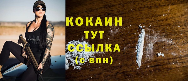 гидра Богданович