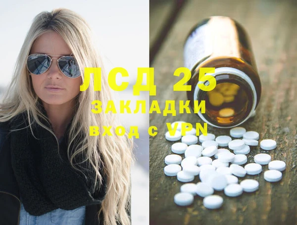 гидра Богданович