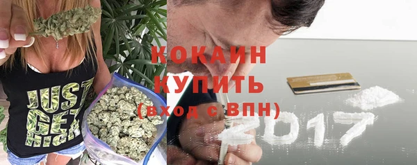 гидра Богданович