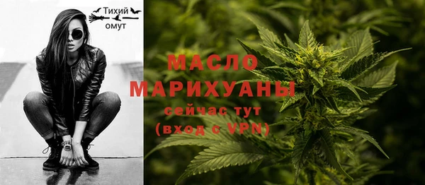 гидра Богданович