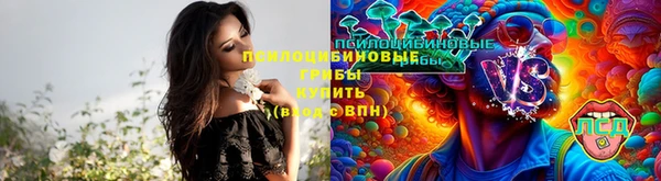 тгк Богородск