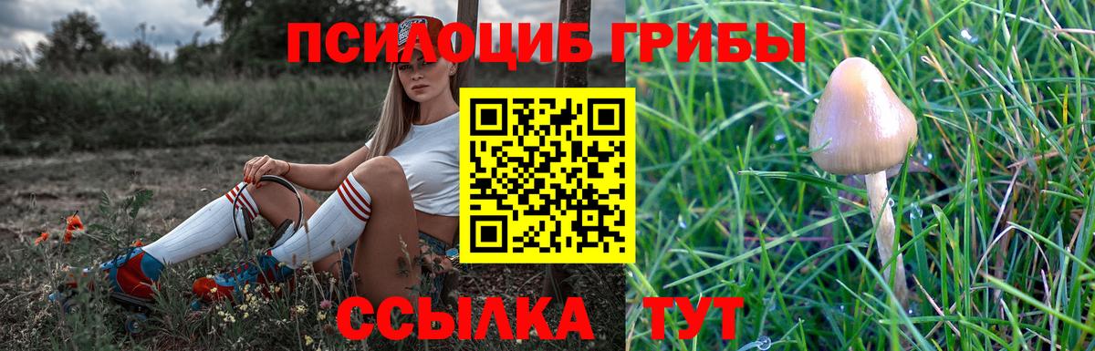Псилоцибиновые грибы прущие грибы  Галлюциногенные грибы мухоморы  Дагестанские Огни 