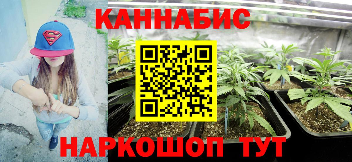 Каннабис LSD WEED  Марихуана гибрид  Дагестанские Огни  Бошки марихуана MAZAR  Вход с VPN  Канабис SATIVA & INDICA 
